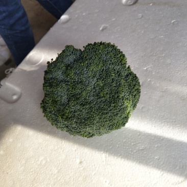 西蓝花大量供应中，货源充足，质量好，