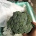 西蓝花大量供应中，货源充足，质量好，