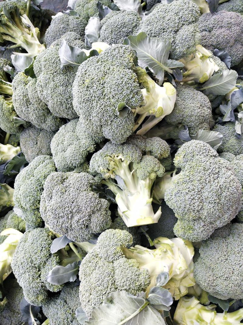 西蓝花大量供应中，货源充足，质量好，