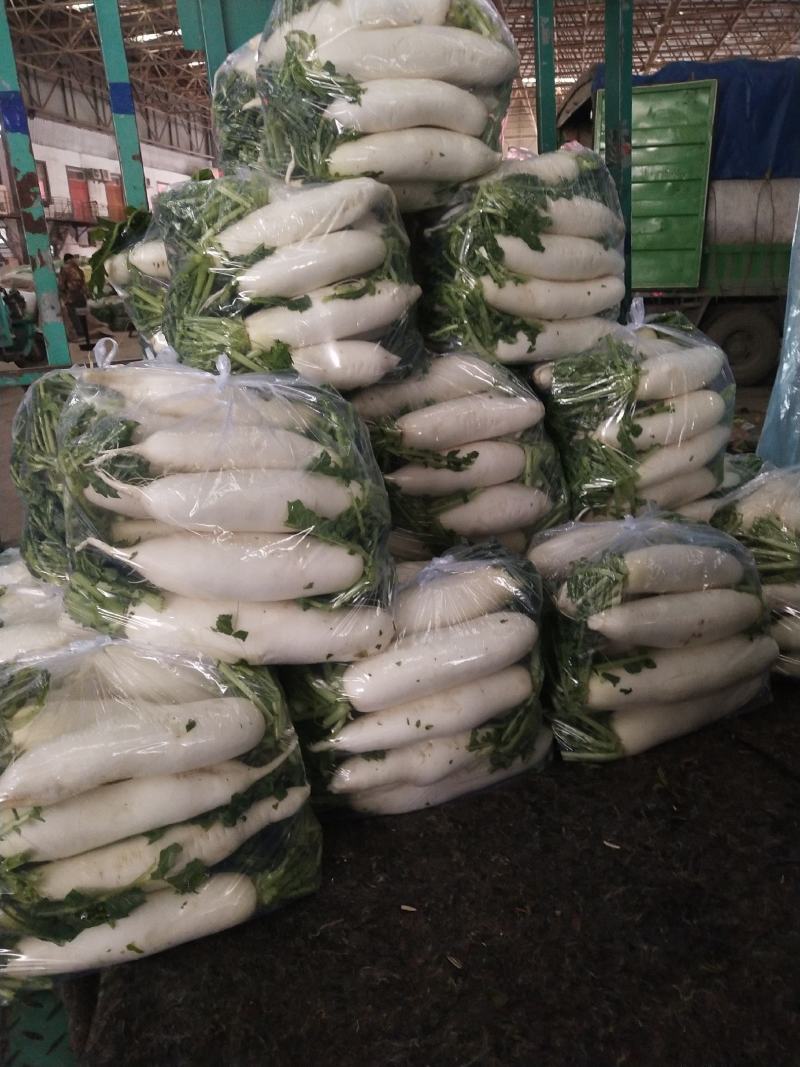 白萝卜，精品白萝卜，货源充足，河北邯郸购销处。邯郸