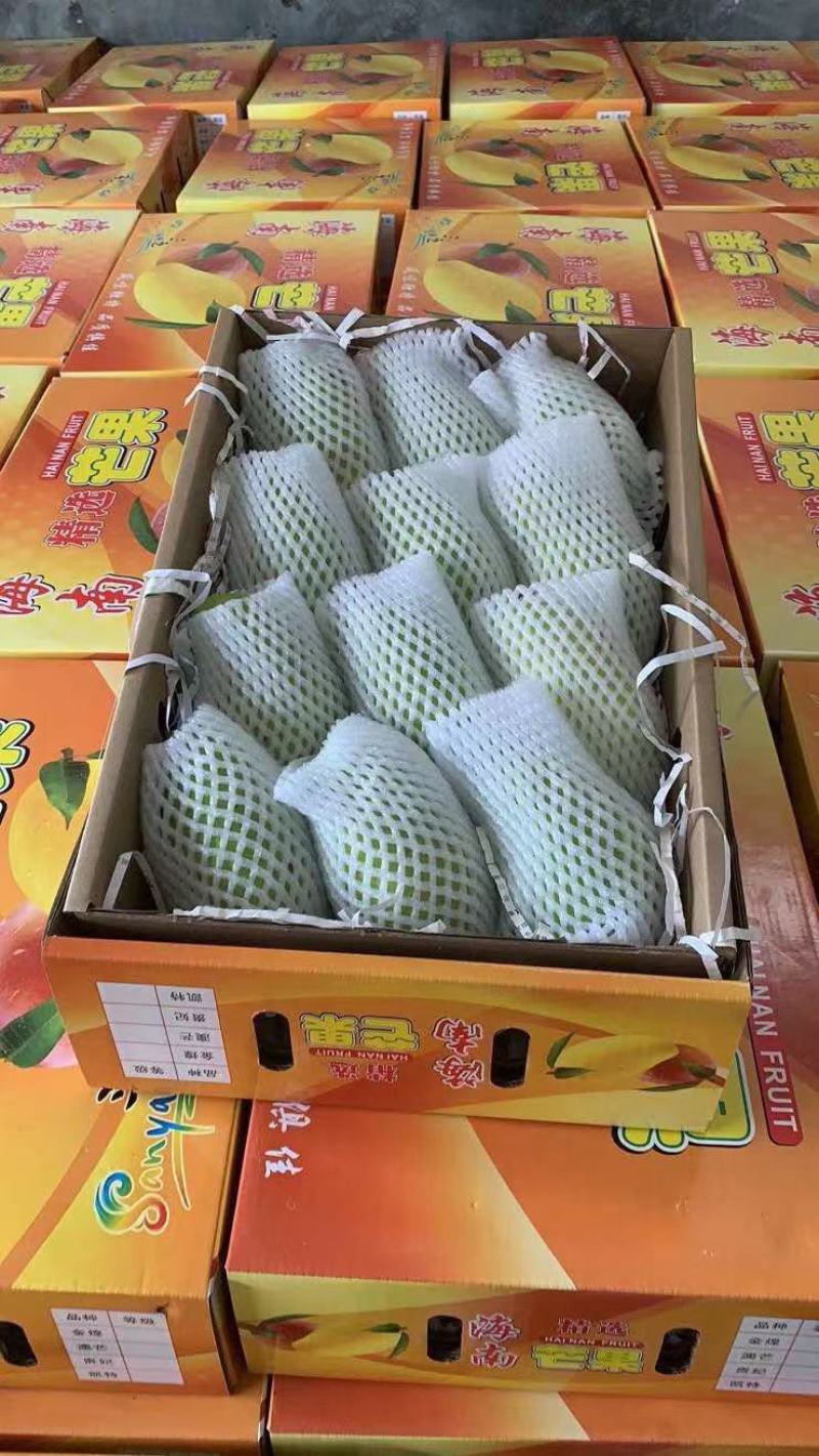 海南金煌芒礼盒装供应大量货源自提代发对接各大平台