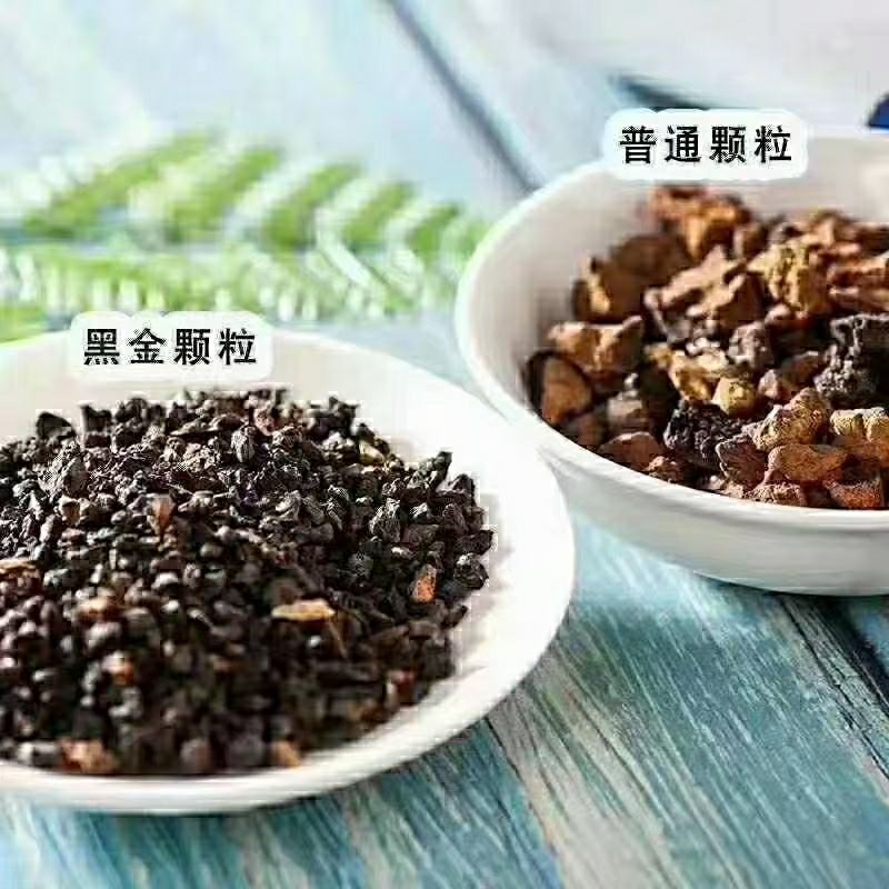 【包邮】桦树茸黑晶颗粒桦褐孔菌黑精