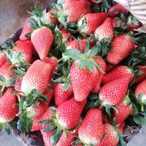 山东省安丘市石埠子镇万亩草莓基地