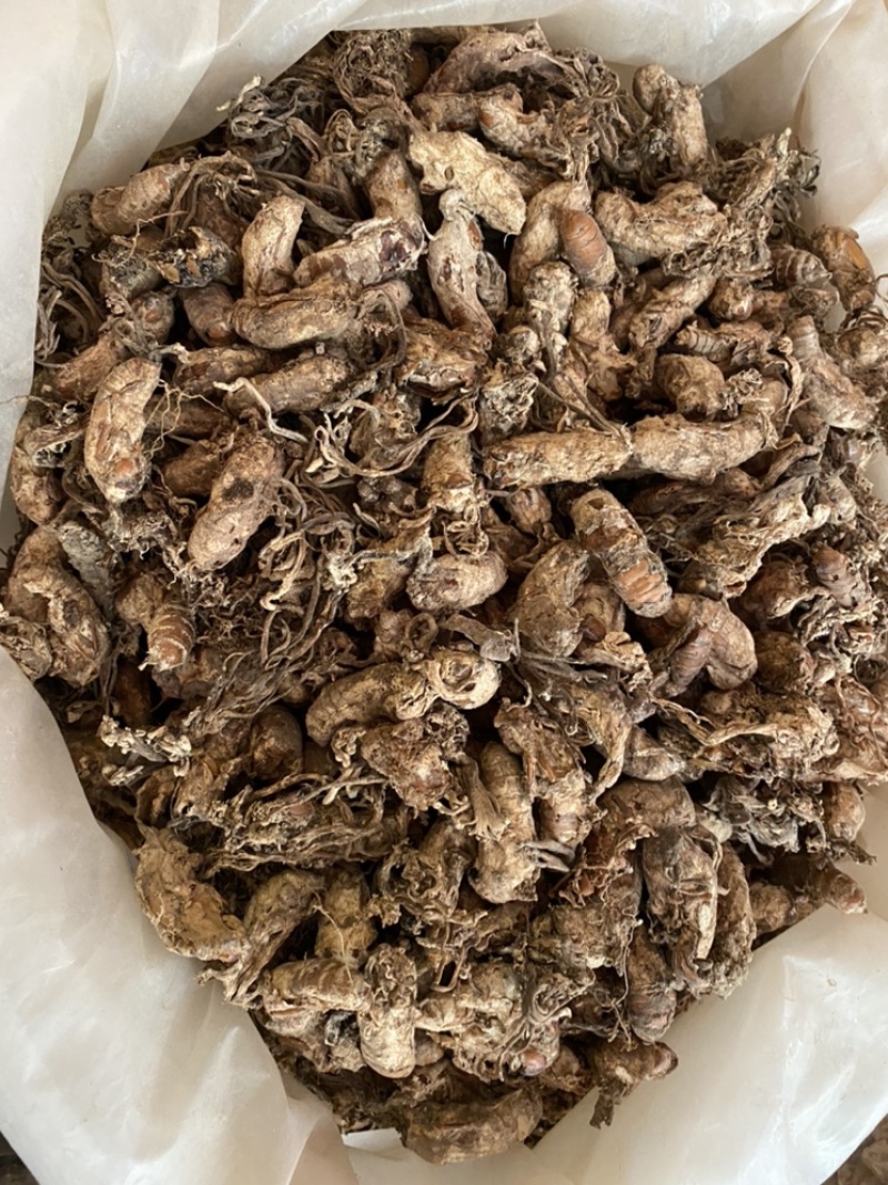 金蝉花野生蝉花，旧货，