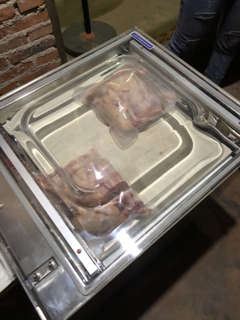肉鸽精品鸽基地养殖量大从优欢迎咨询