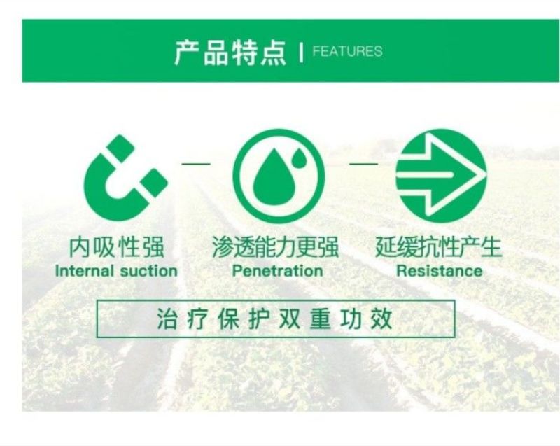 科迪华杜邦克露72%霜脲锰锌霜霉病疫病杀菌剂