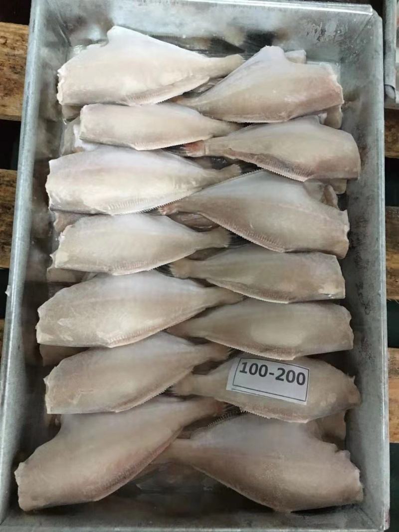 整条马面鱼三去扒皮鱼耗儿鱼马面鱼无泡药高品质