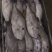 整条马面鱼三去扒皮鱼耗儿鱼马面鱼无泡药高品质