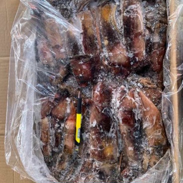 鱿鱼，红鱿，食堂，烧烤店，