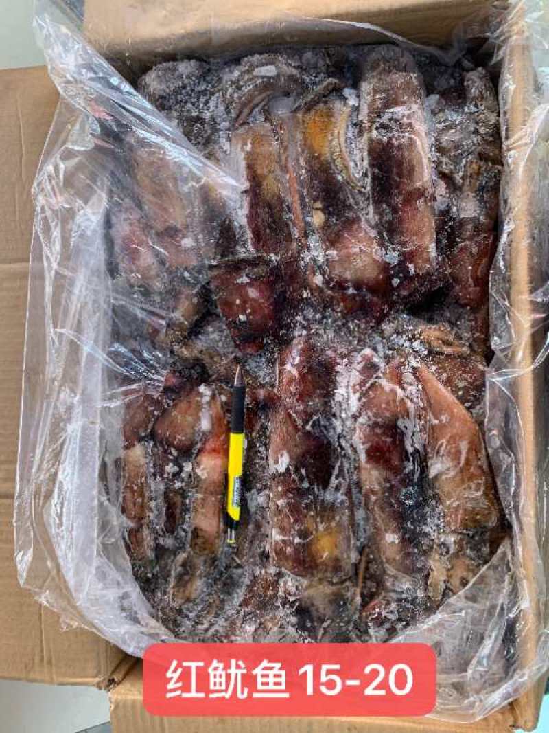 鱿鱼，红鱿，食堂，烧烤店，