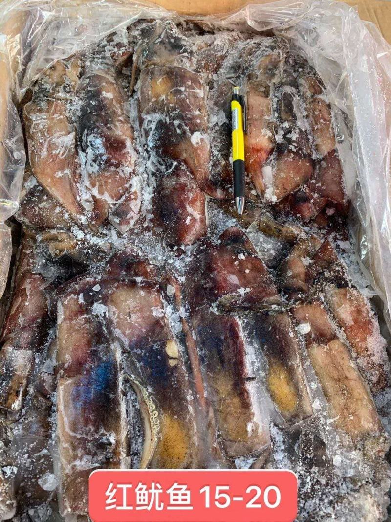 鱿鱼，红鱿，食堂，烧烤店，