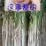 大葱长白大葱数量不多了，要的客商抓紧联系吧