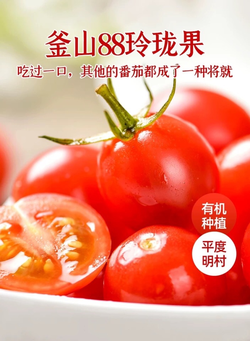 批发商超玲珑小番茄釜山88圣女果圣女果代发