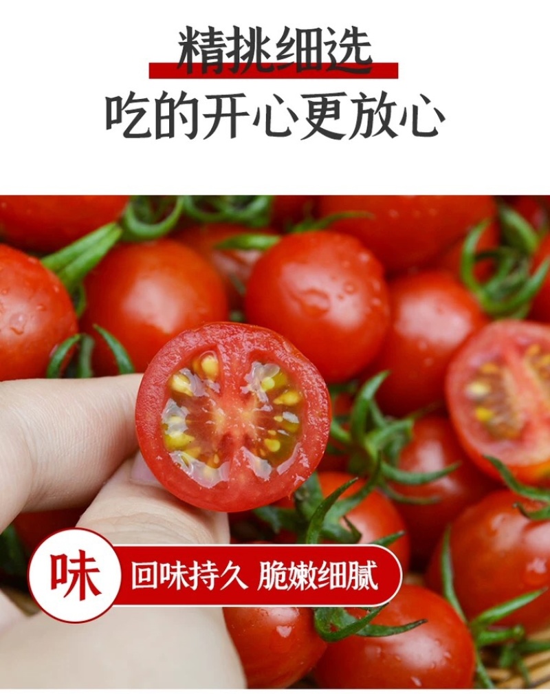 批发商超玲珑小番茄釜山88圣女果圣女果代发