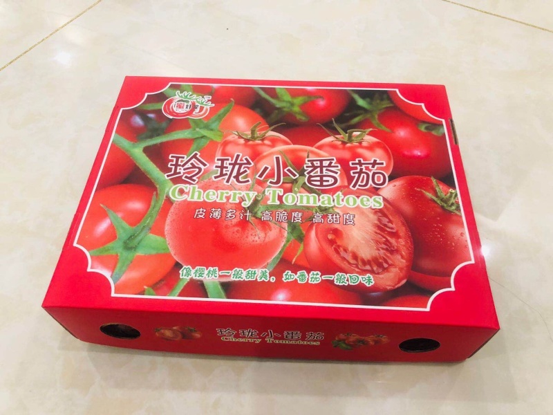 批发商超玲珑小番茄釜山88圣女果圣女果代发
