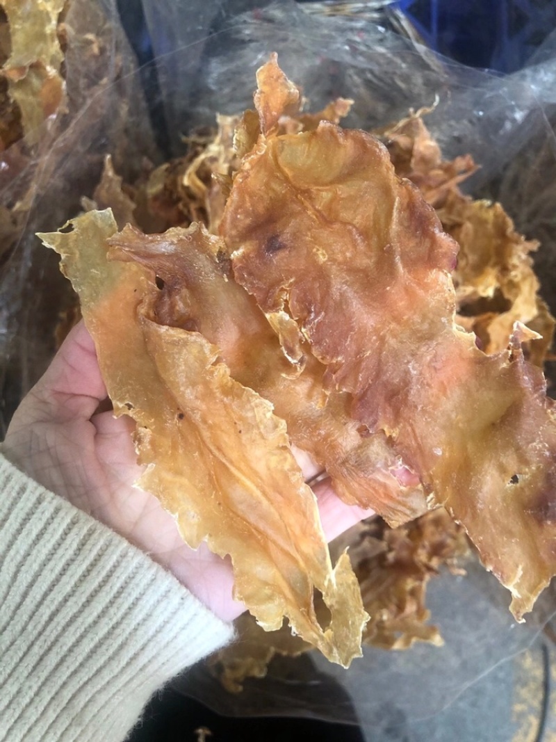 鳕鱼胶80头老身鳕鱼胶品相美送礼自用佳品