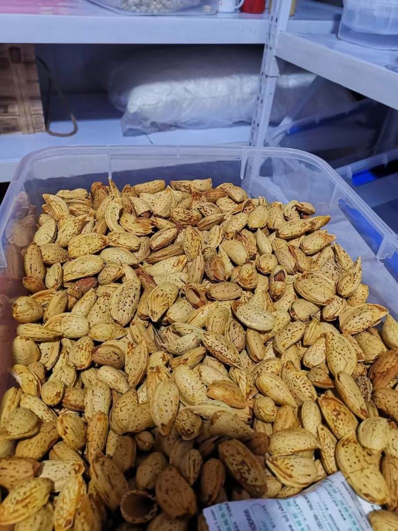 巴旦木批发手剥奶香味薄壳坚果跑江湖地摊展会一手货源厂家直