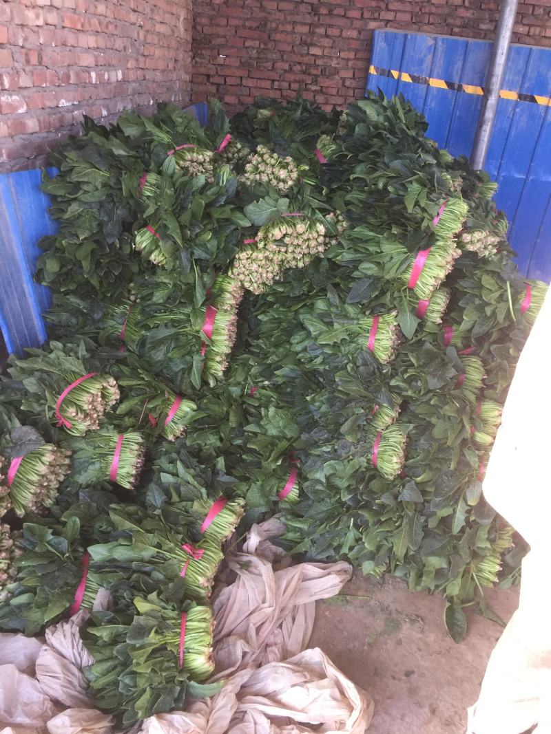 菠菜，聊城东昌府区，菠菜，好菠菜，，，，，