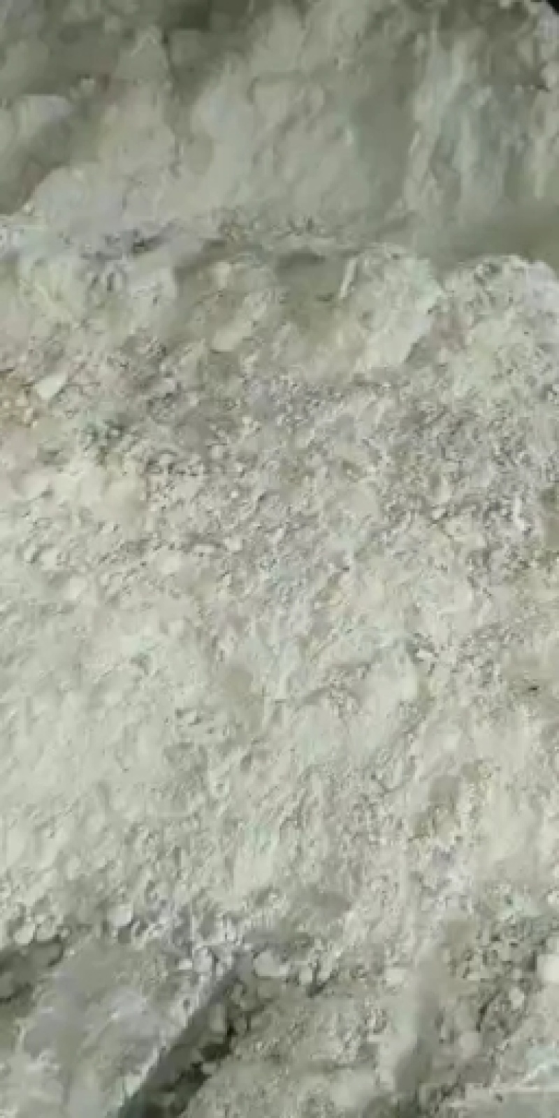 油渣粉（麸皮的价格豆粕的质量）有需要的老板可以联系我哦