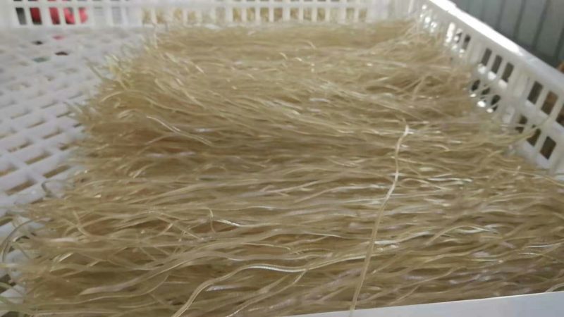 【精选红薯粉丝】成锋源农家自制红薯粉丝包邮可开票口感好