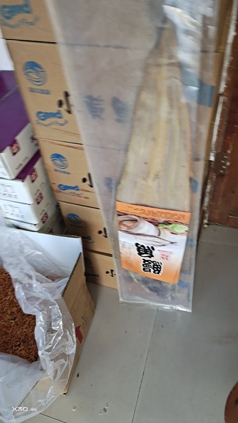 大个鳗鱼干！一条4斤左右！方便携带！大量现货