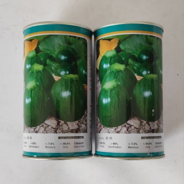 西葫芦种子碧珠西葫芦种子极早熟表皮深绿色耐高温性好