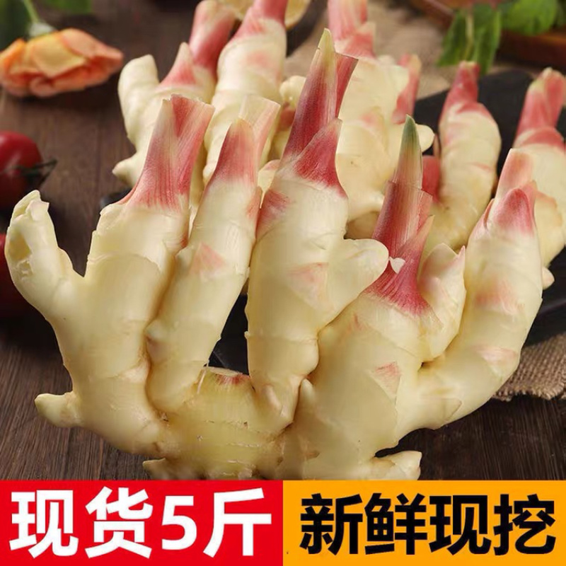 精品生姜产地批发一手货源价格便宜坏烂包陪