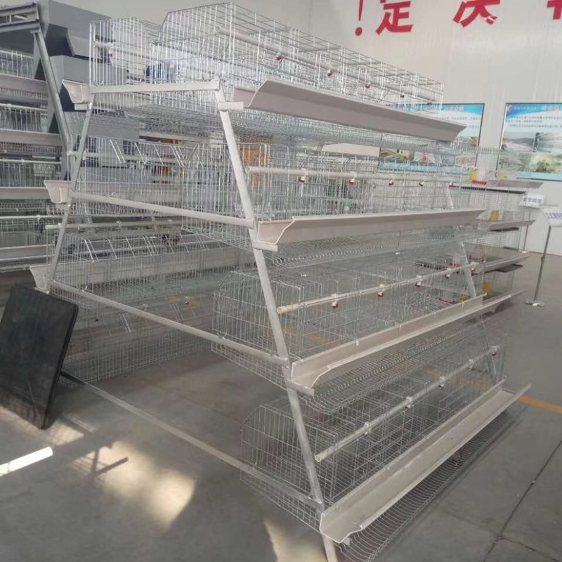 阶梯式蛋鸡笼笼具，蛋鸡笼