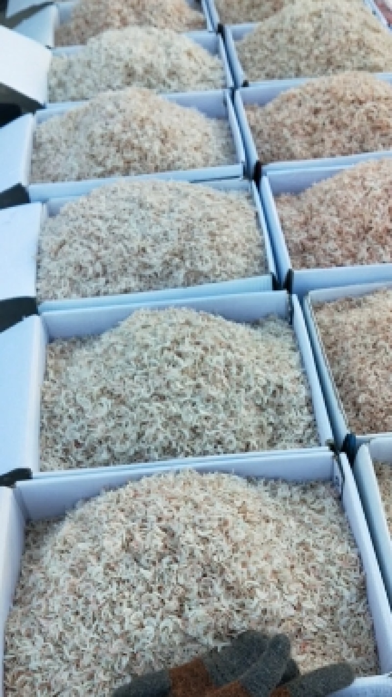 山东渤海湾虾皮微盐！味道杠杠鲜！大量现货一手货源不包邮