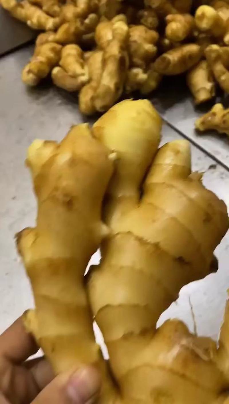 姜，优质生姜，产地一手货源，价格便宜，货源充足，