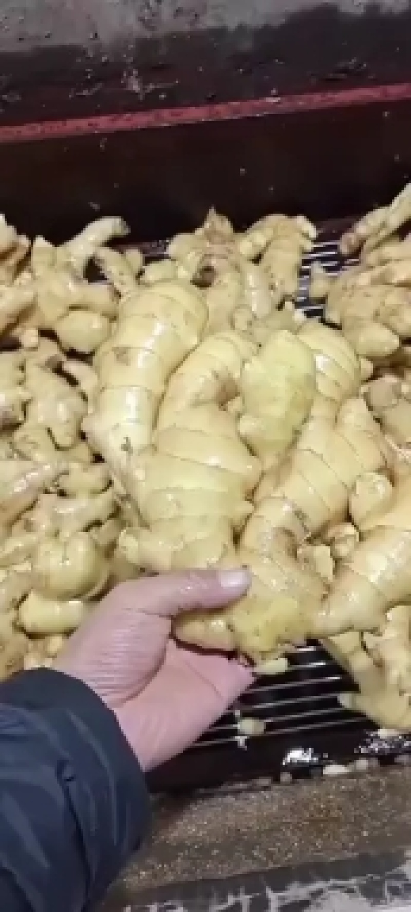 姜，优质生姜，产地一手货源，价格便宜，货源充足，