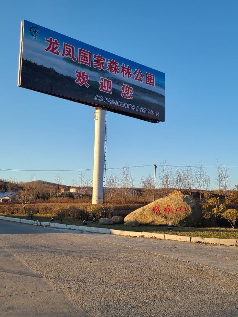 五常龙凤山稻花香2号大米，订单种植欲购从速，批发零售。