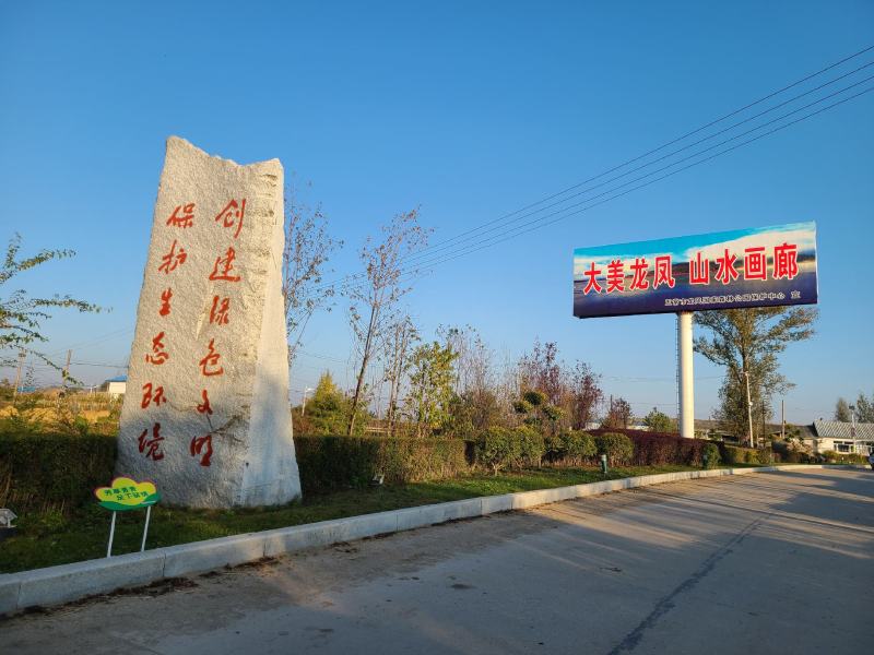 五常龙凤山稻花香2号大米，订单种植欲购从速，批发零售。