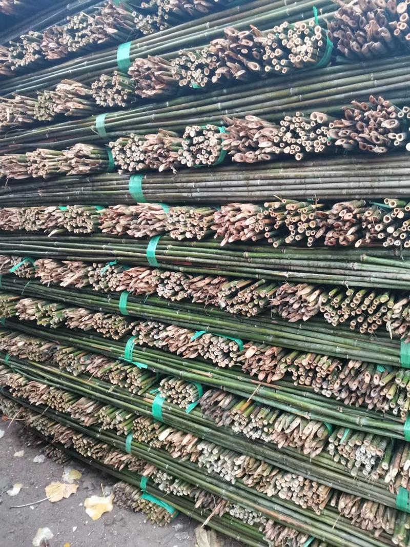 湖南优质菜架竹，各种规格大棚竹杆，精选竹竿，西红柿插杆，