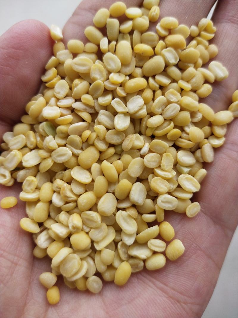 脱皮绿豆去皮绿豆脱皮绿豆瓣脱皮绿豆仁50斤装。