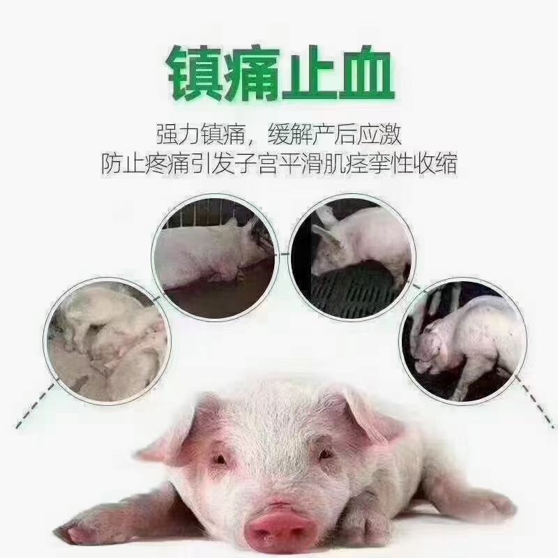 清宫促孕宝提高受孕率，降低子宫内膜炎，提高受胎率，