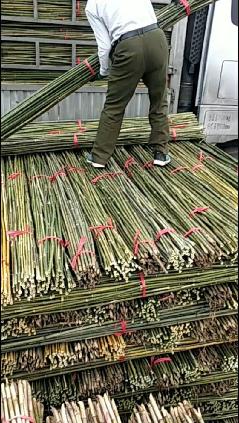 竹竿，菜架竿，撑果竿，各种规格都的竹竿都菜架竹