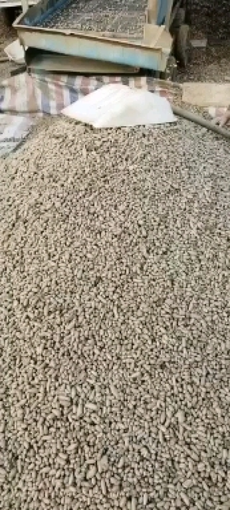 小白嘴大小混豆营养丰富