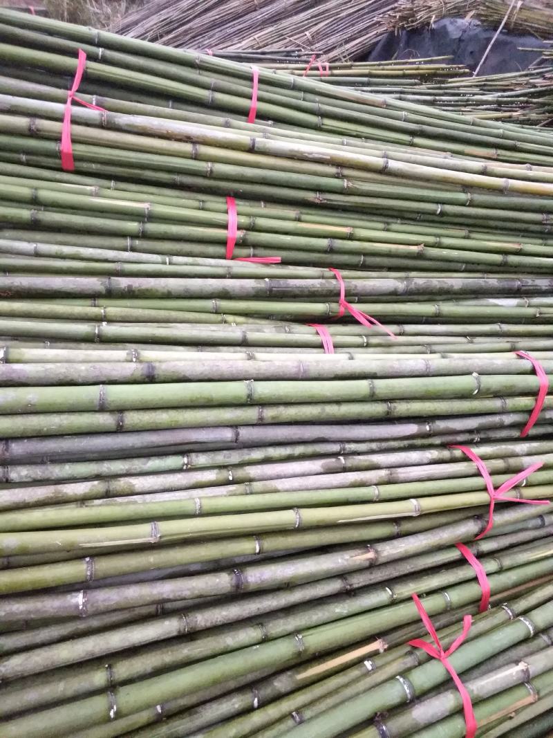 菜架竹，竹竿，烤干。撑果。个种规格竹子都有