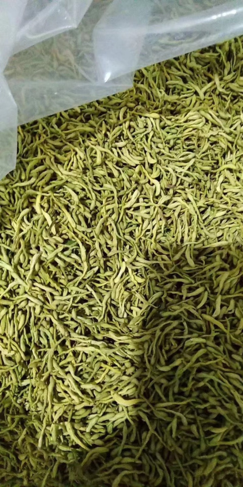 北花系列，四季系列，金银花苗，半月不开放系列，包回收