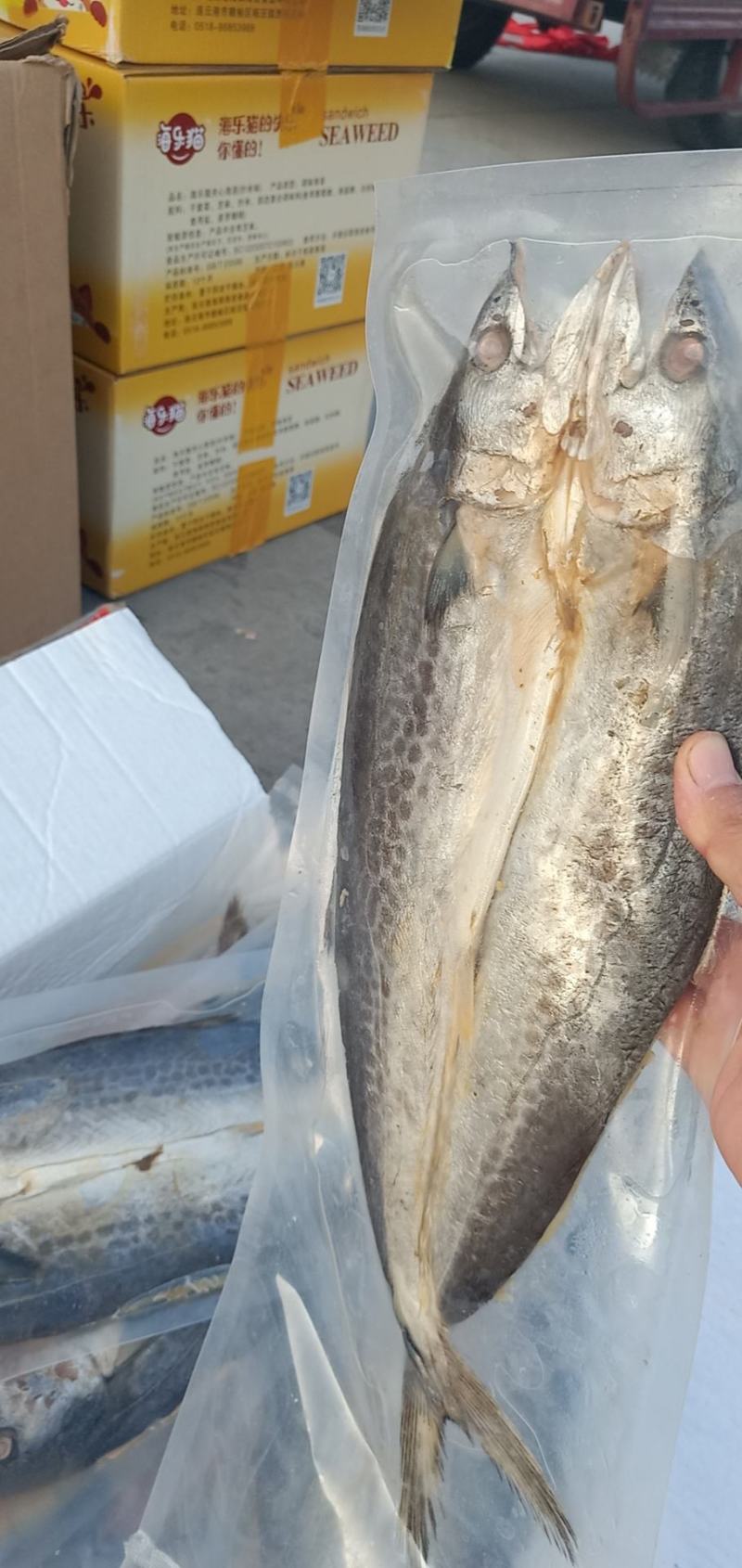 咸鲅鱼咸鱼产地直发大量现货批发不包邮费