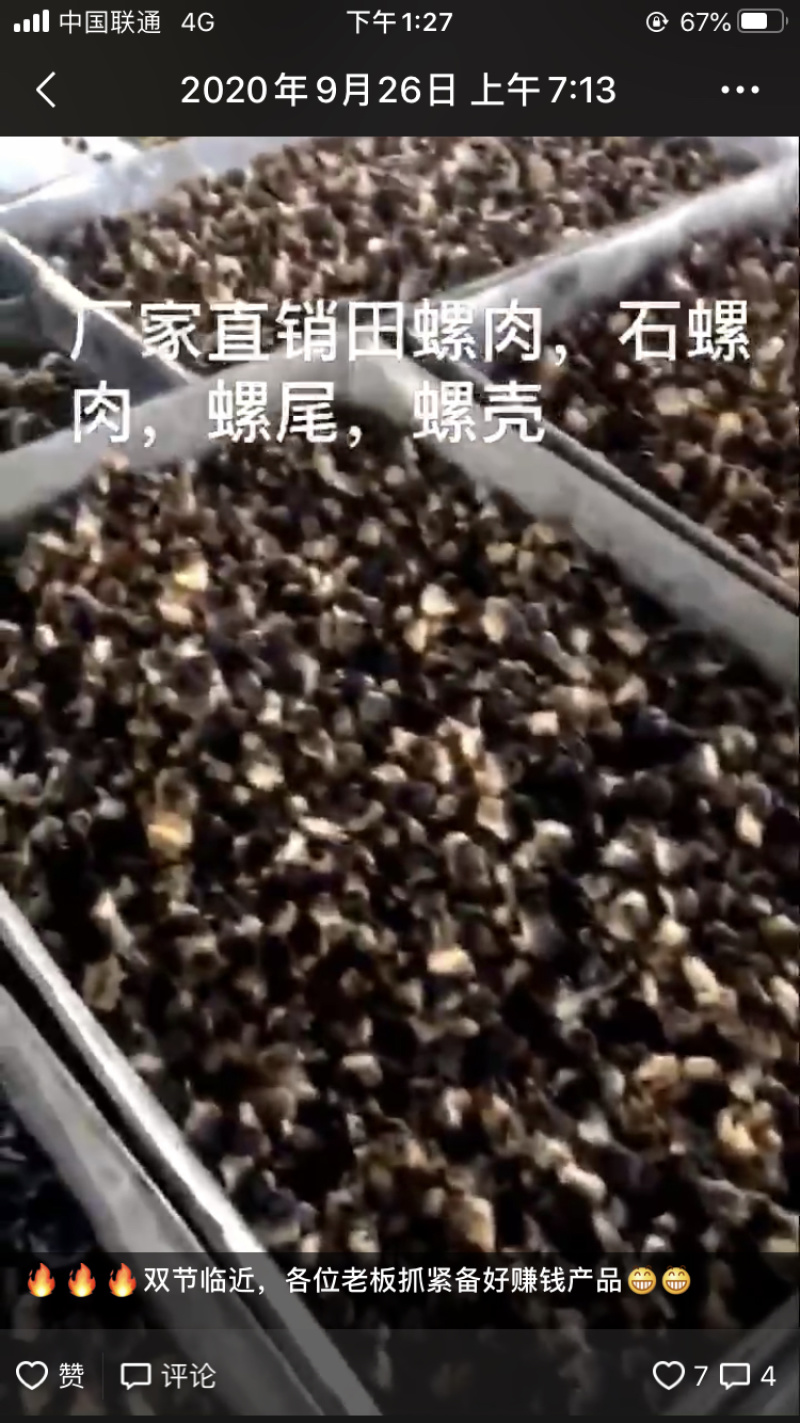 田螺肉（整车，散货均可发）今天发明天可到