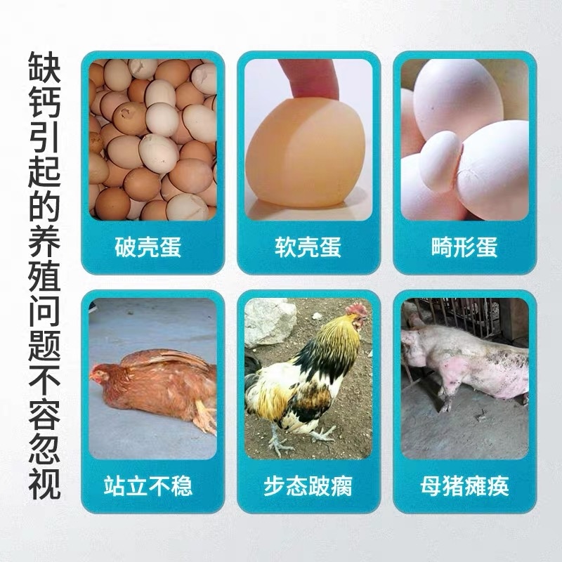蛋鸡用贝壳粉饲料高钙鸡鸭鹅鸟鸽子鹌鹑饲料添加剂补钙