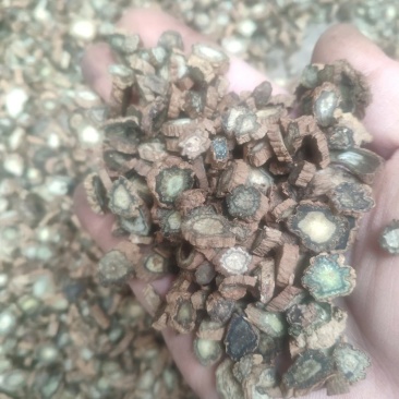 产地直销续断切片