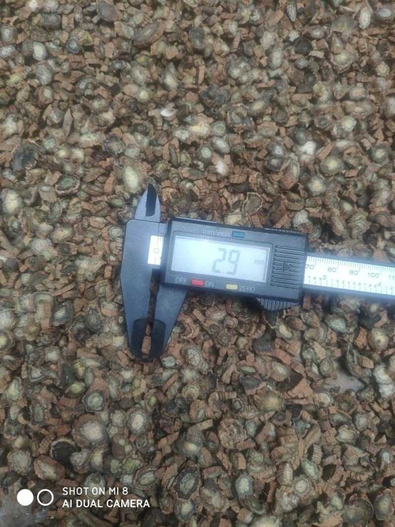 产地直销续断切片