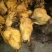 熟牛头肉原味，五香的，品质保证