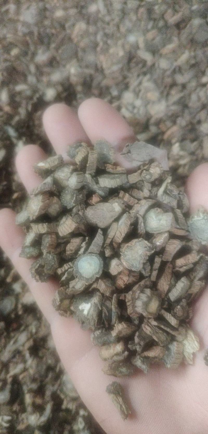 产地直销续断切片