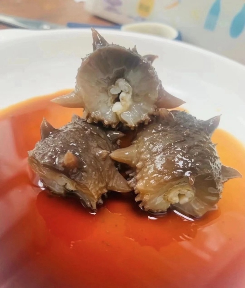 辽参大连淡干海参干批发