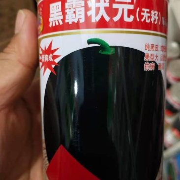 无籽西瓜种子黑，霸状元纯黑皮蜡粉厚果型大抗病耐湿