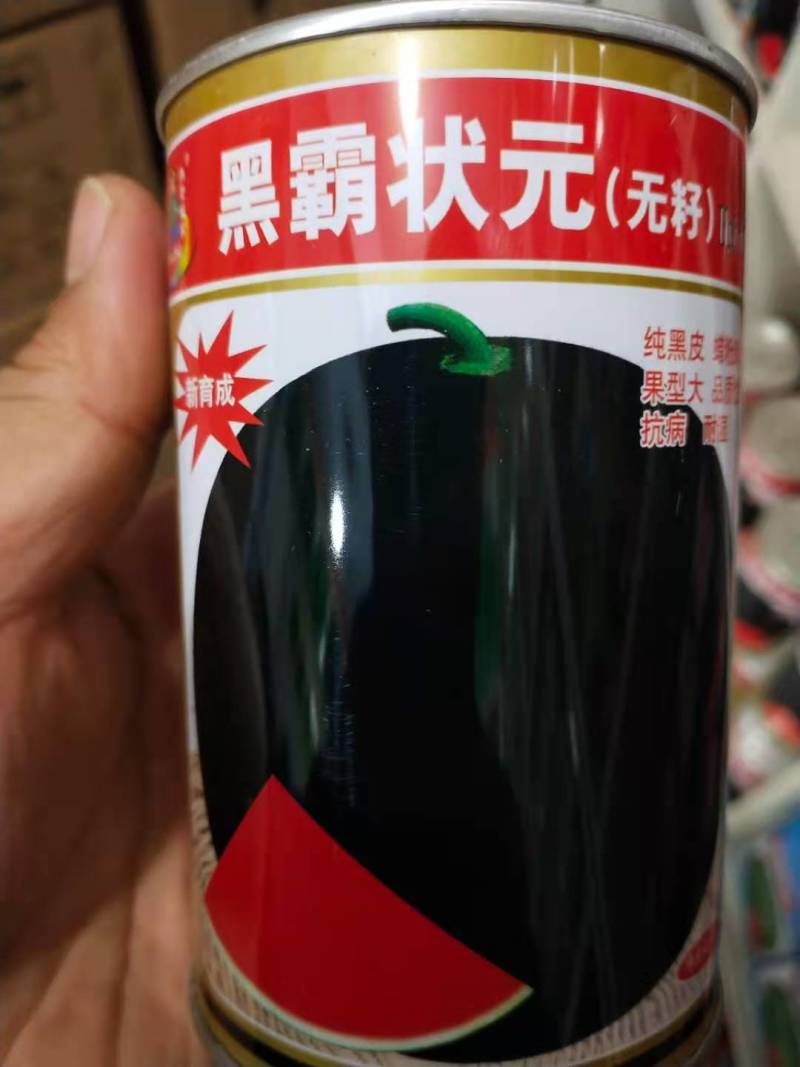 无籽西瓜种子黑，霸状元纯黑皮蜡粉厚果型大抗病耐湿